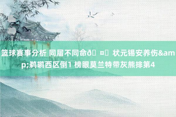 篮球赛事分析 同届不同命🤔状元锡安养伤&鹈鹕西区倒1 榜眼莫兰特带灰熊排第4