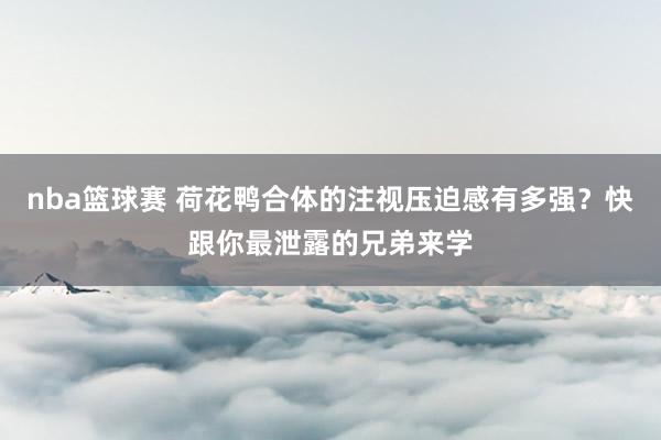 nba篮球赛 荷花鸭合体的注视压迫感有多强？快跟你最泄露的兄弟来学